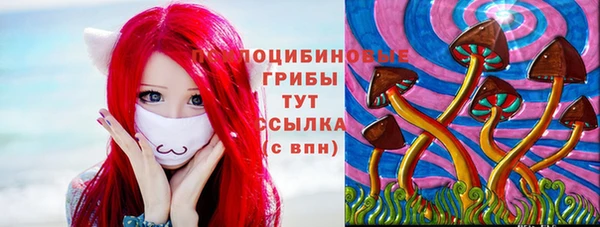 твердый Заволжск
