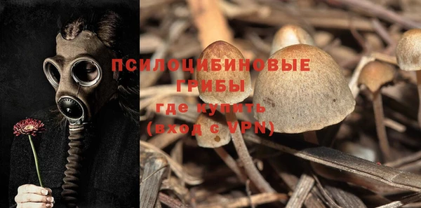 прущие крисы Заводоуковск