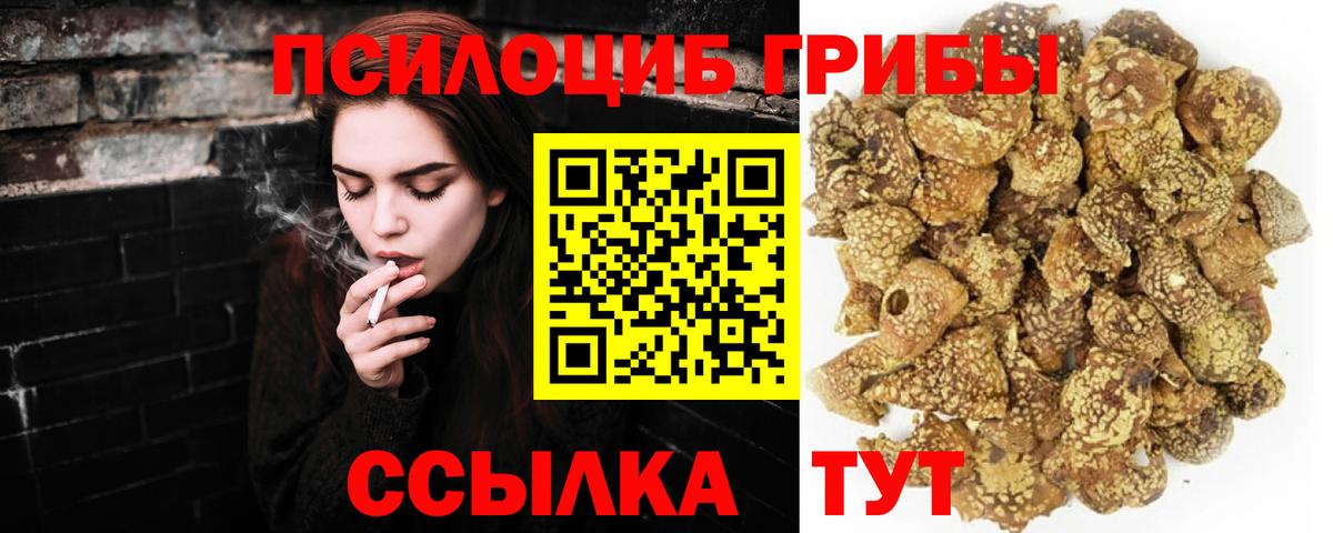 Галлюциногенные грибы Magic Shrooms Зеленодольск